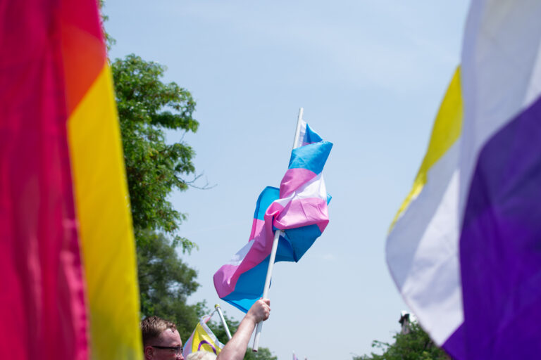 Grayslake Pride Parade 2025-110