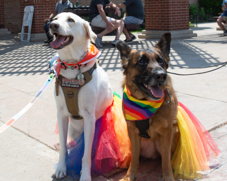 Grayslake Pride Parade 2025-77